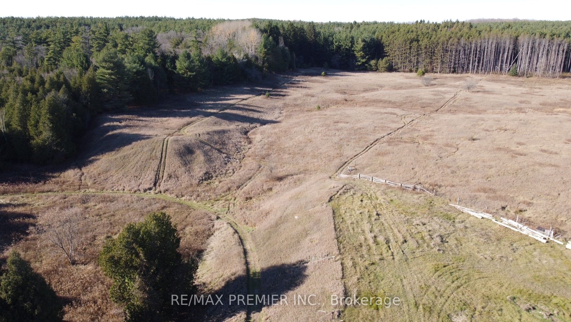 9792 Highway 9 Property Photo 5