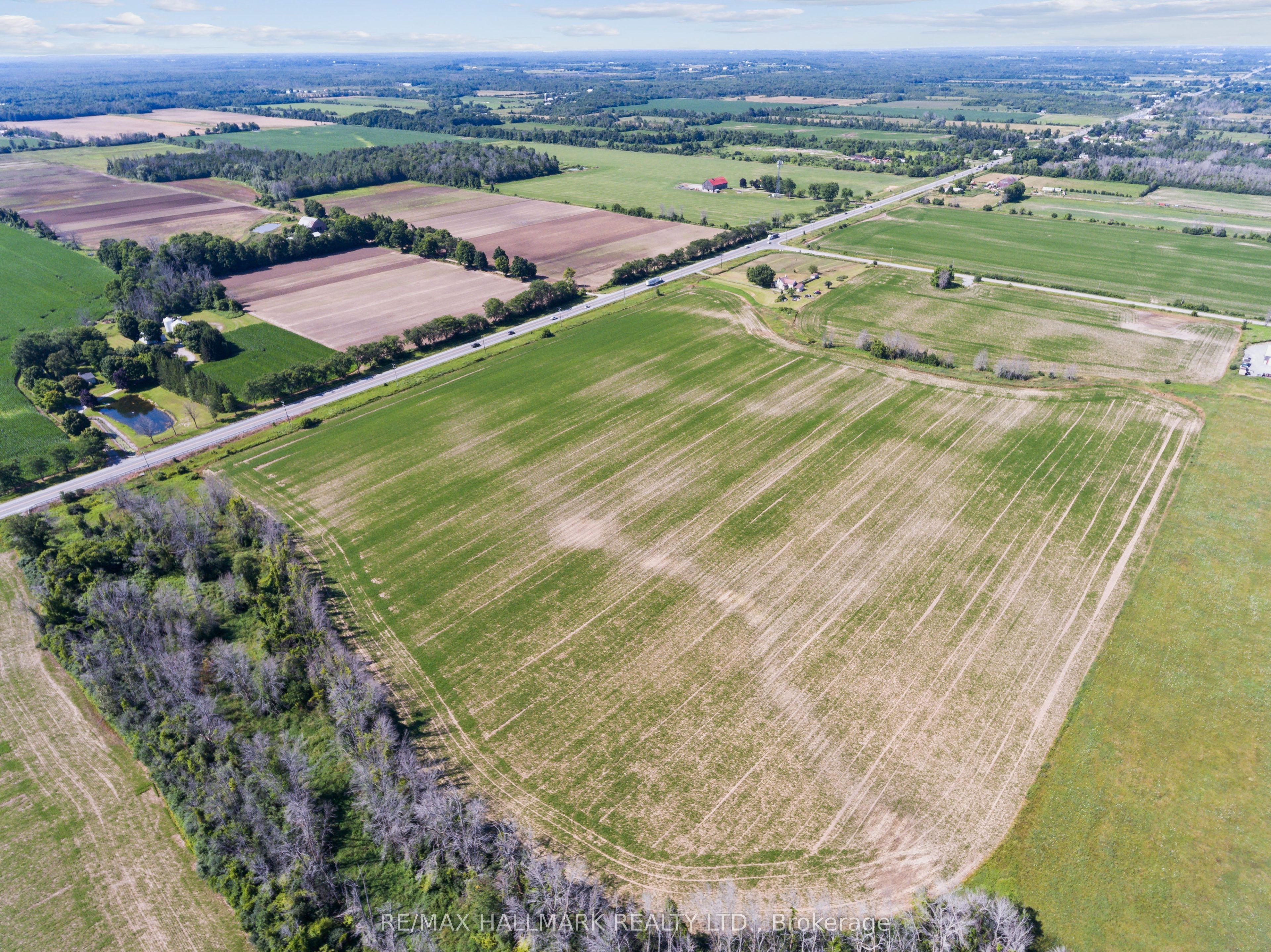 29018 Highway 48 Property Photo 4