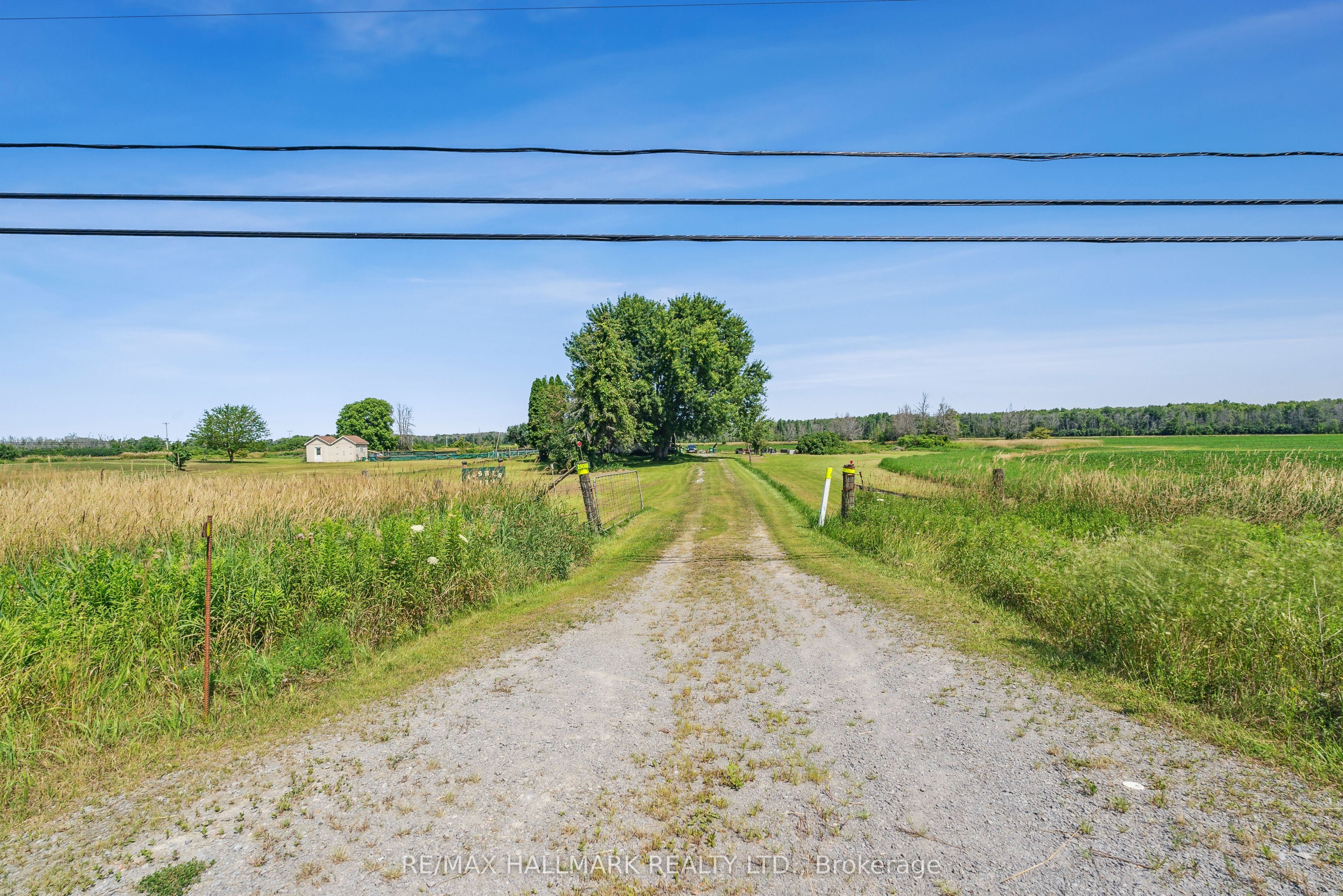 29018 Highway 48 Property Photo 8