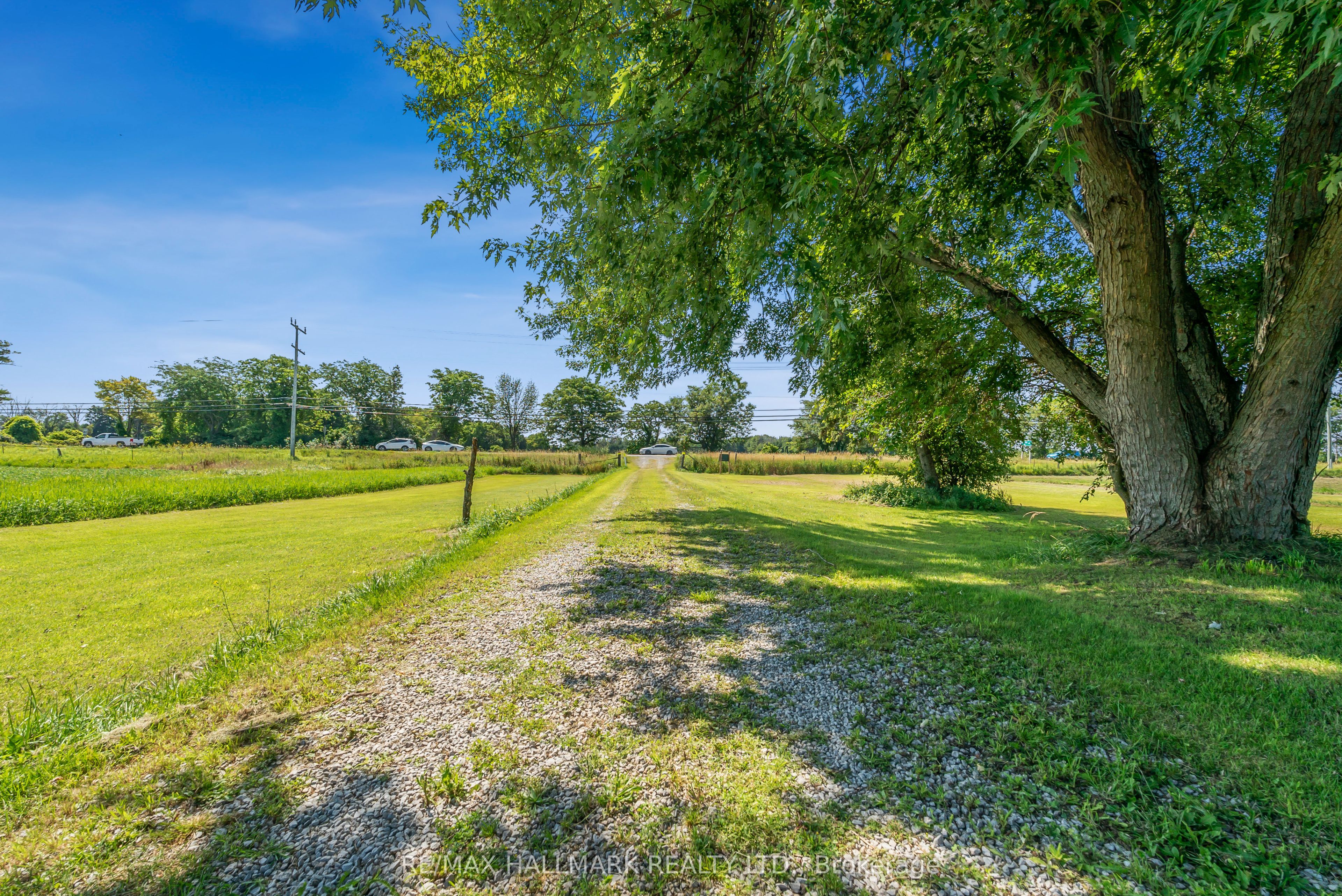 29018 Highway 48 Property Photo 30