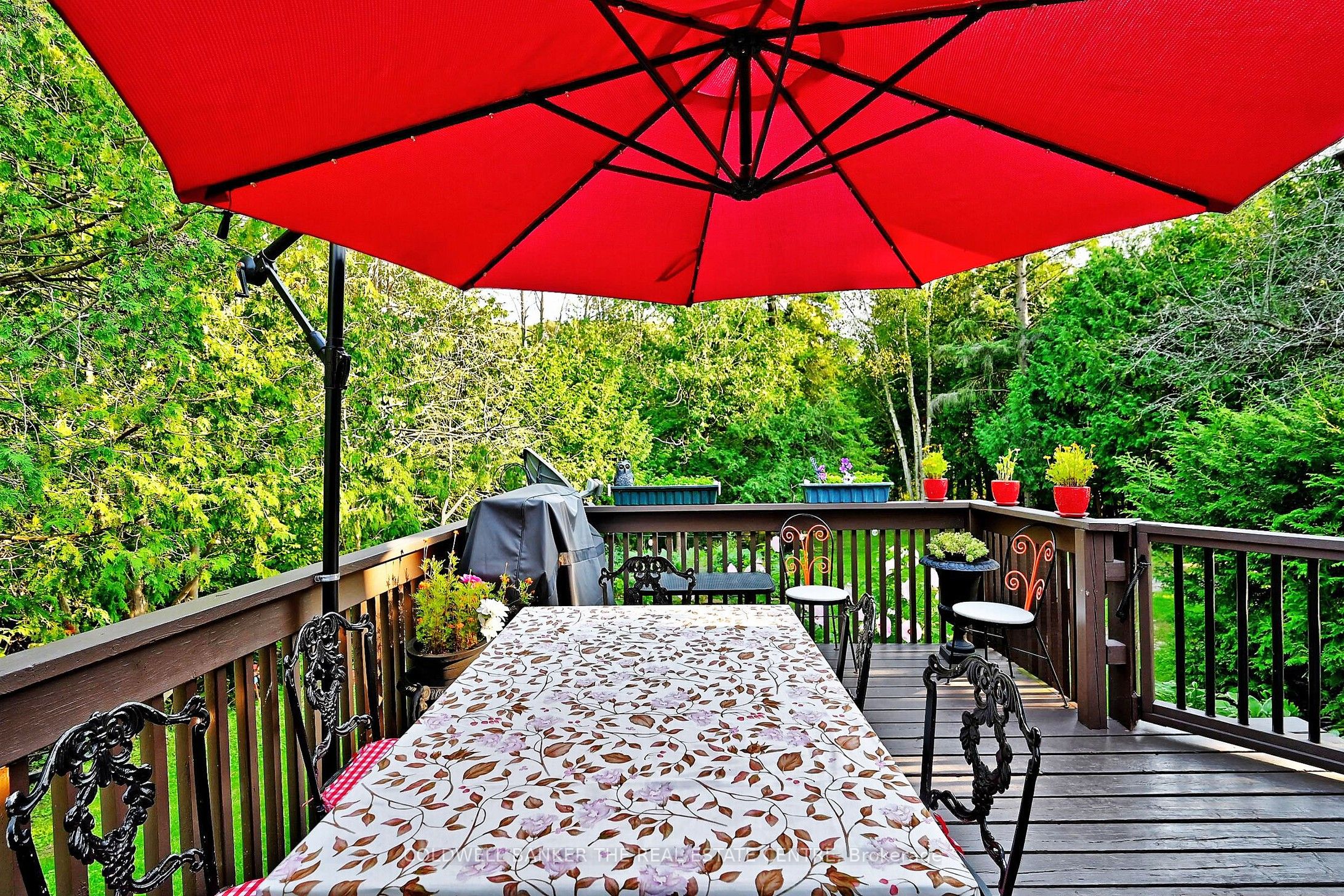 20805 Brock Road Property Photo 35