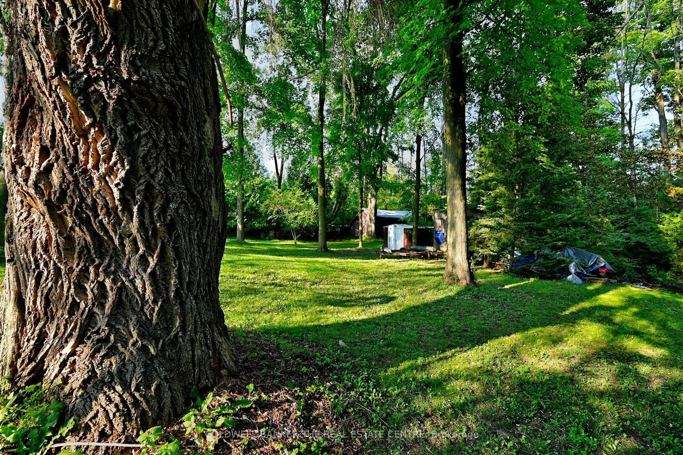 20805 Brock Road Property Photo 41