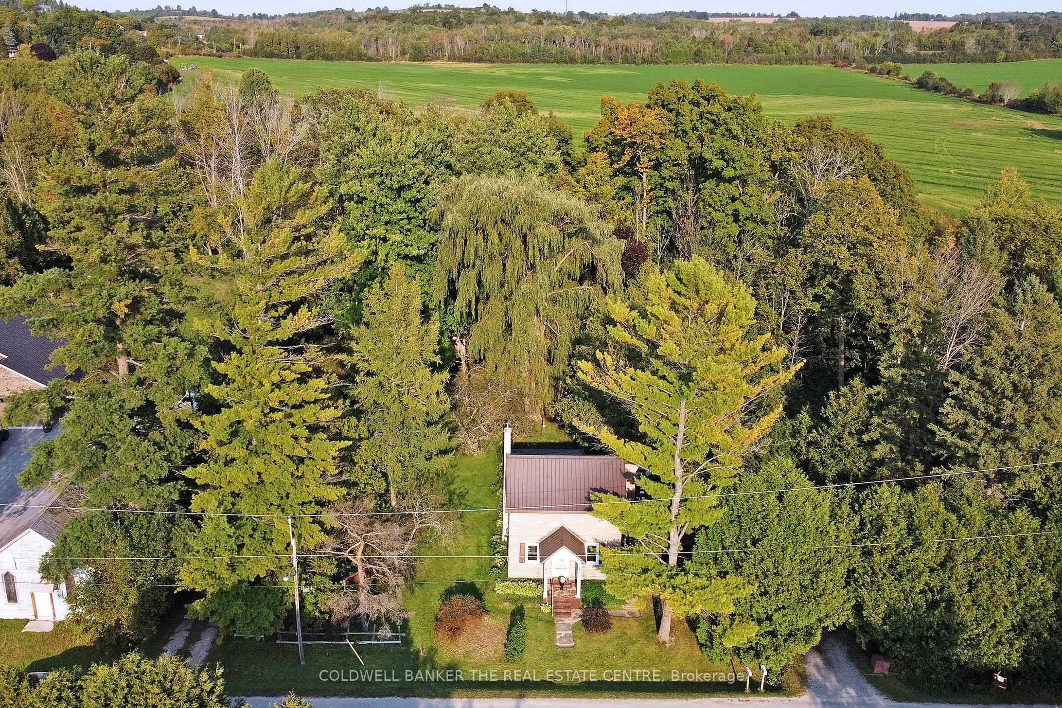 20805 Brock Road Property Photo 43