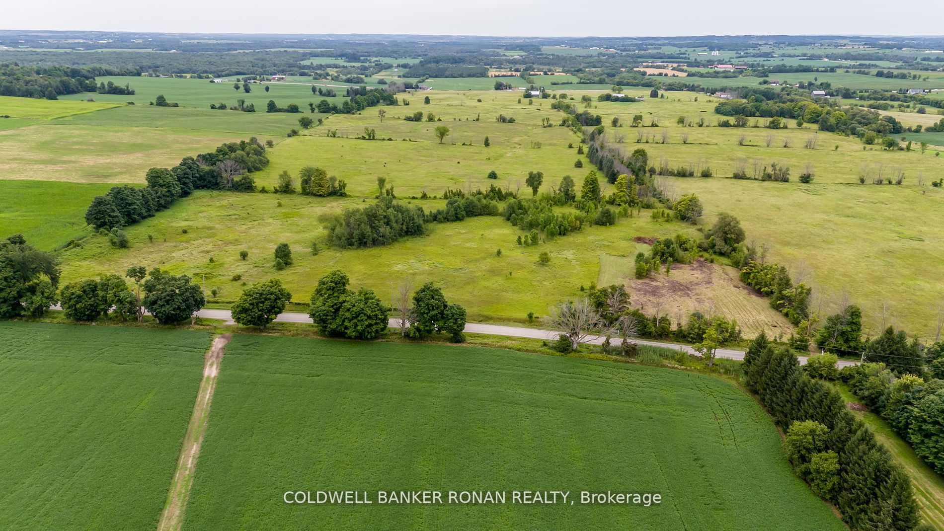 3185 Concession Rd 5 Property Photo 8