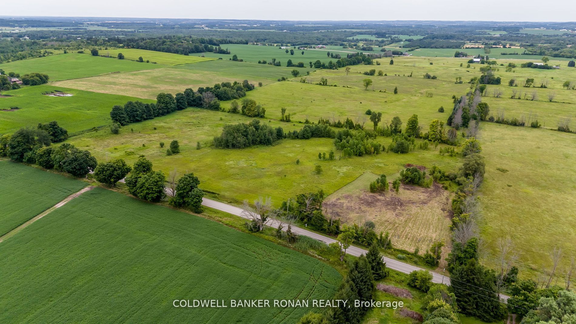 3185 Concession Rd 5 Property Photo 9