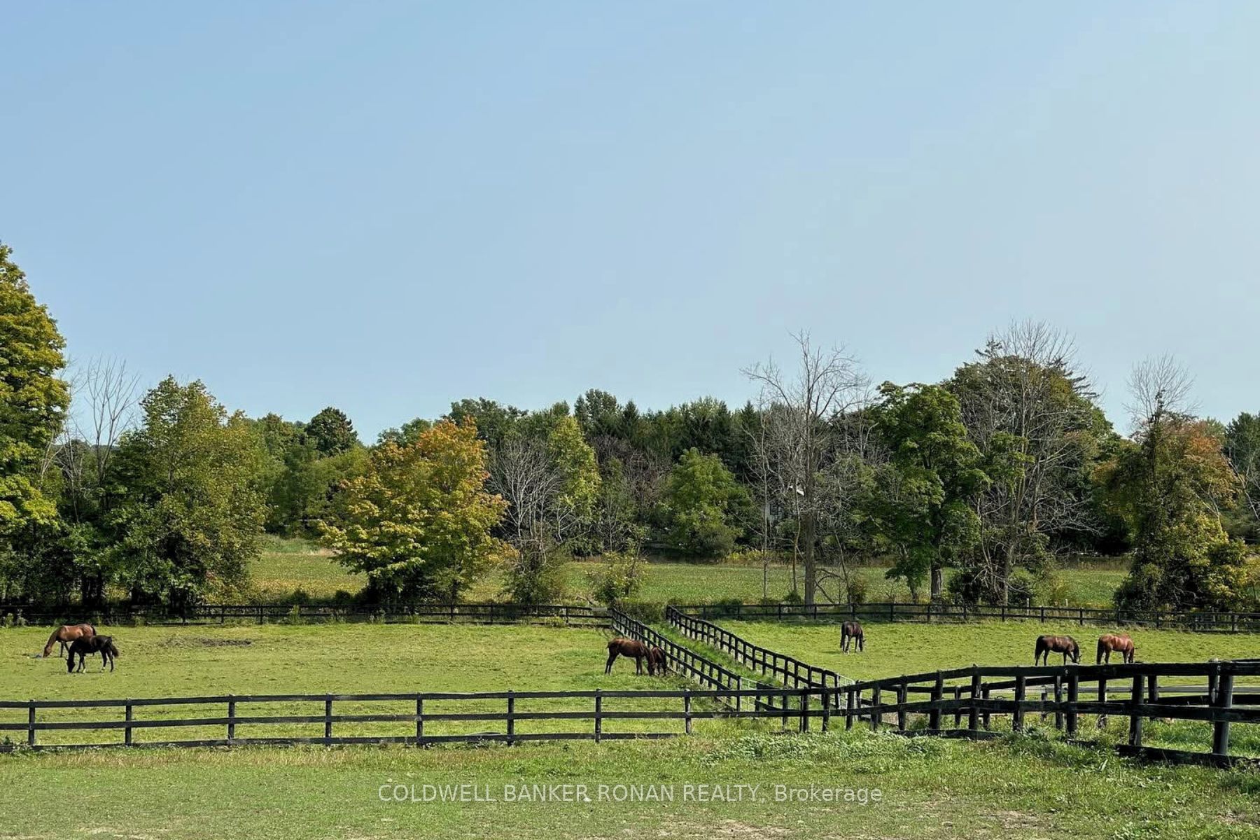 1382 10th Line Property Photo 48