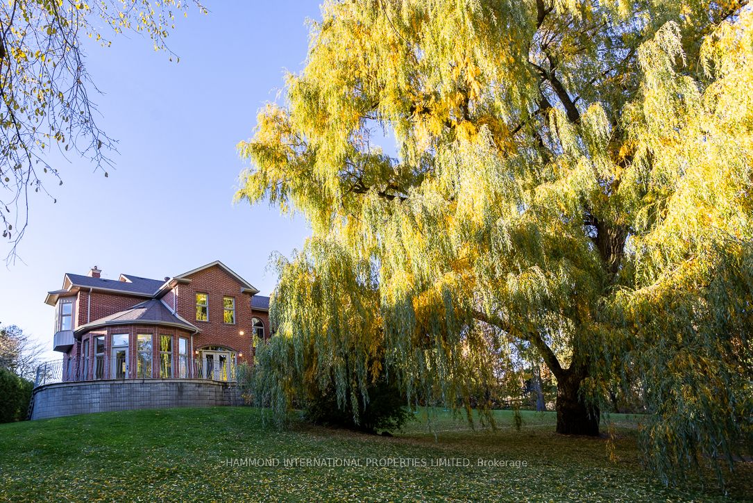 53 Macamo Court Property Photo 28