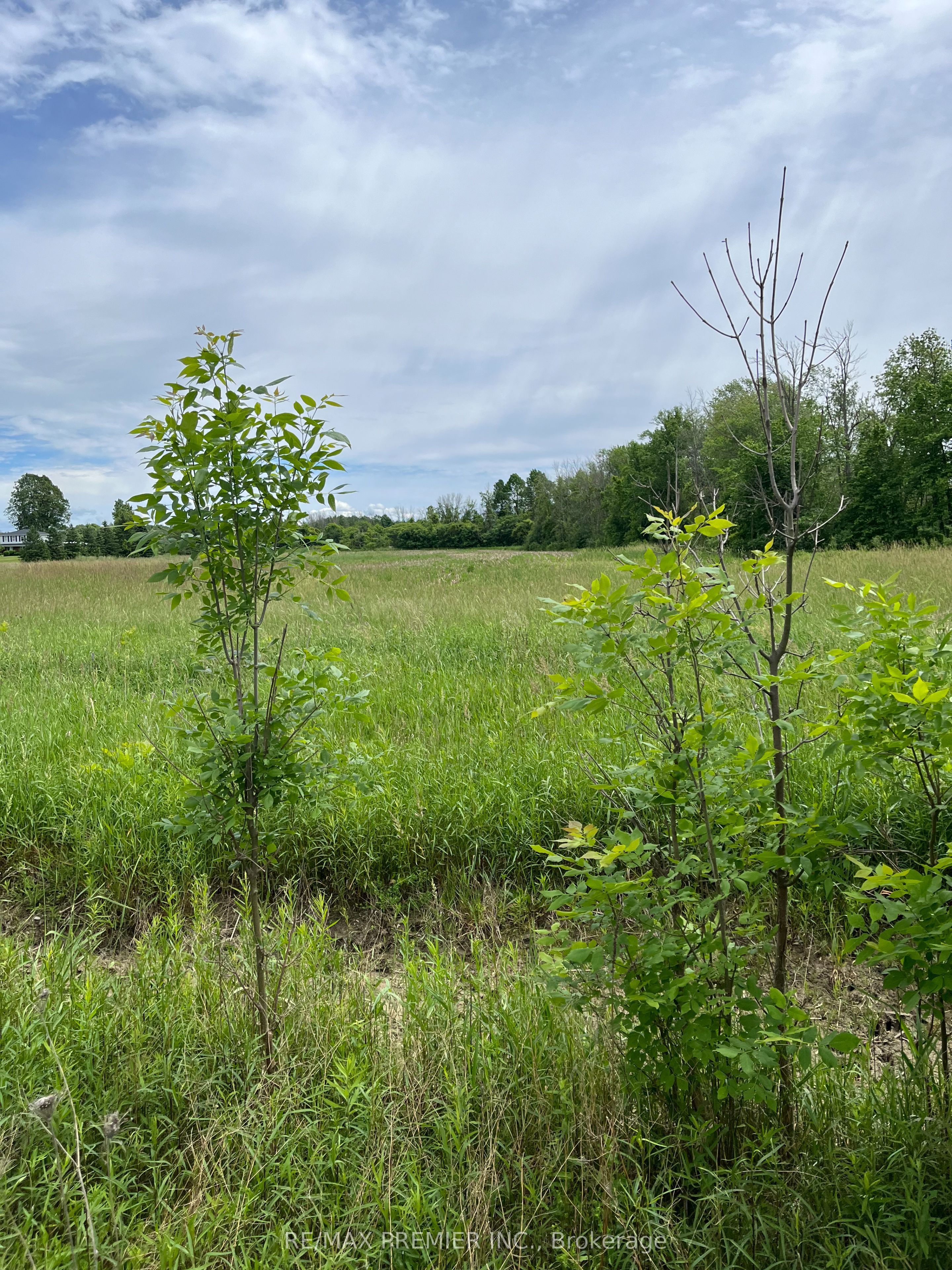 N/a Highway 48 Property Photo 2