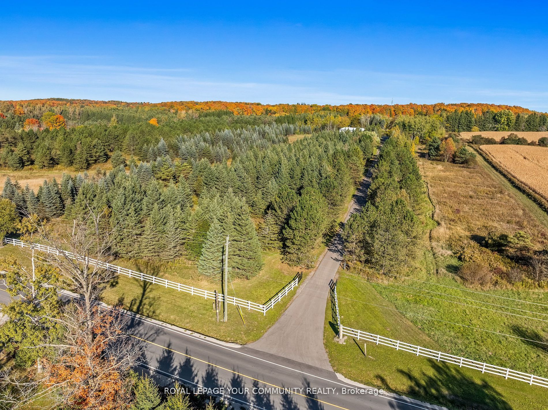 16155 Keele Street Property Photo 2