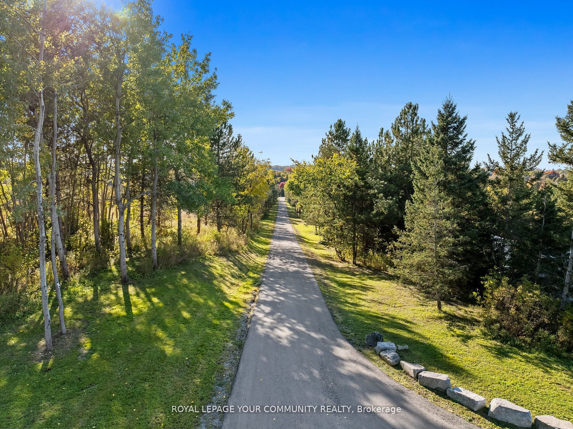 16155 Keele Street Property Photo 3