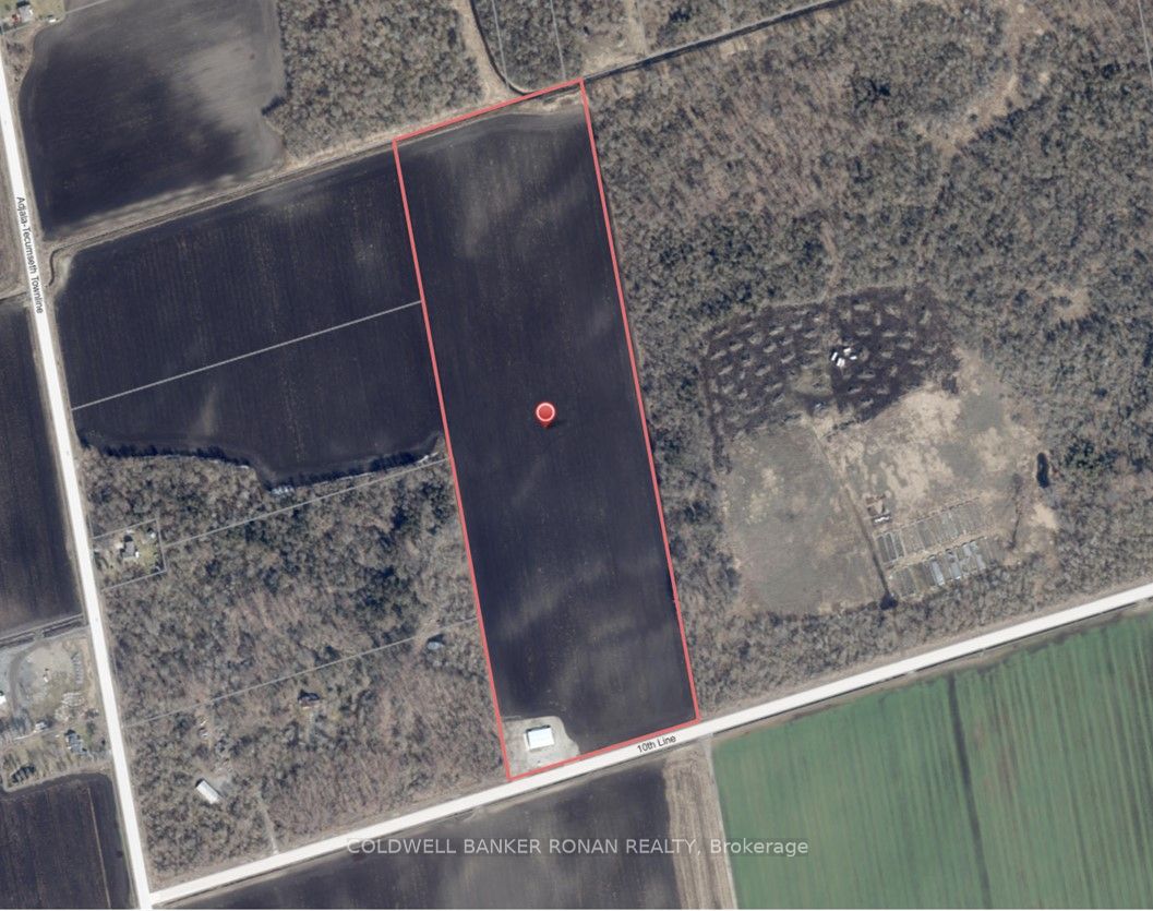 7254 10th Line Property Photo 2
