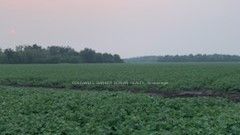 7254 10th Line Property Photo 12