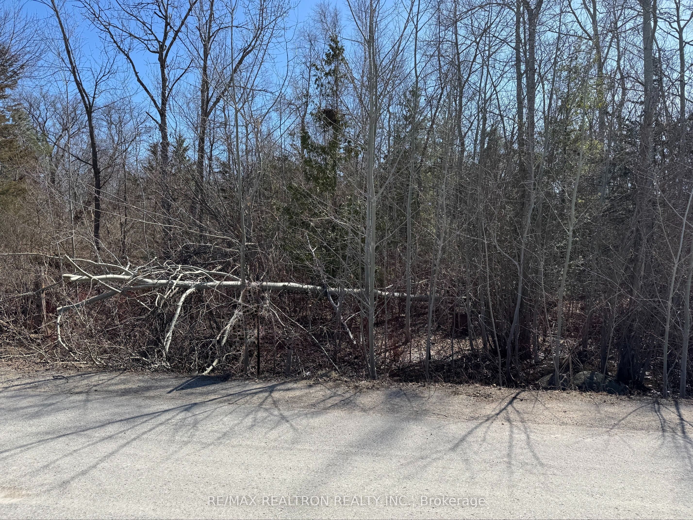 1450 Thomas Drive Property Photo 1