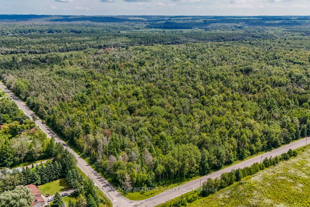 5349 30th Side Road Property Photo 1