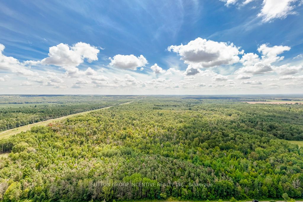 5349 30th Side Road Property Photo 3
