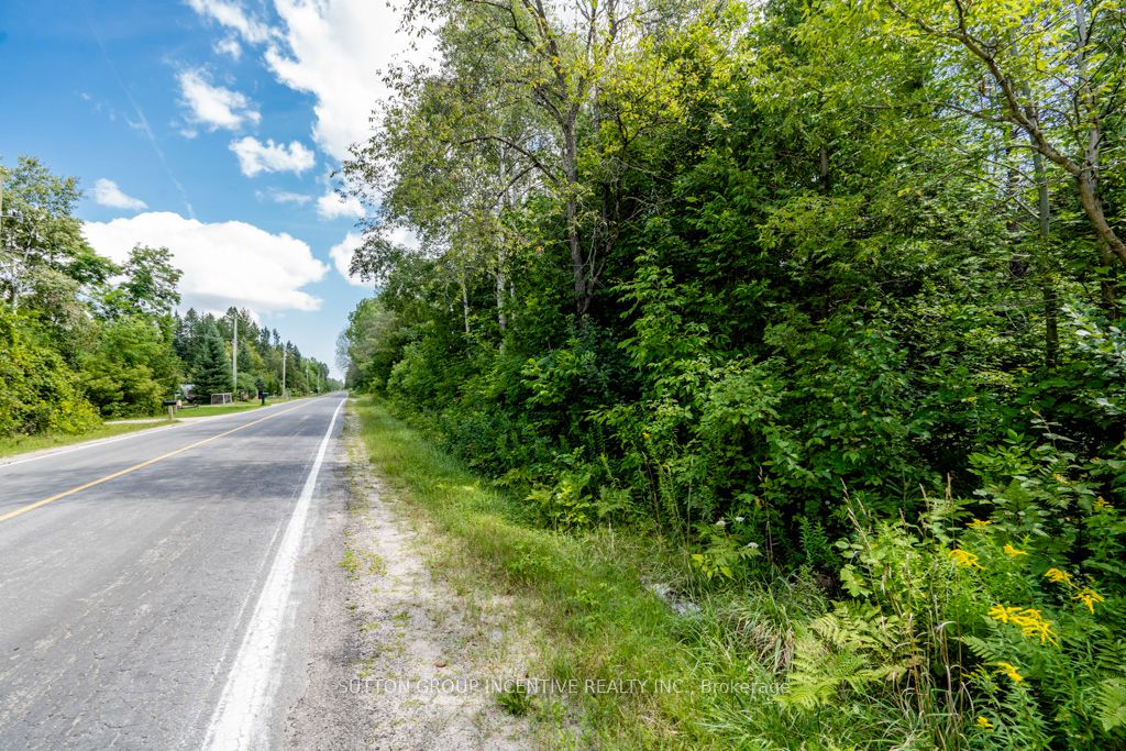 5349 30th Side Road Property Photo 7