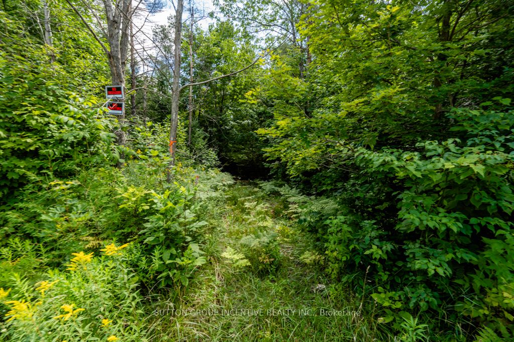 5349 30th Side Road Property Photo 8