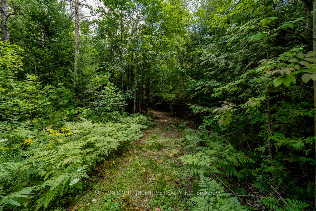 5349 30th Side Road Property Photo 9