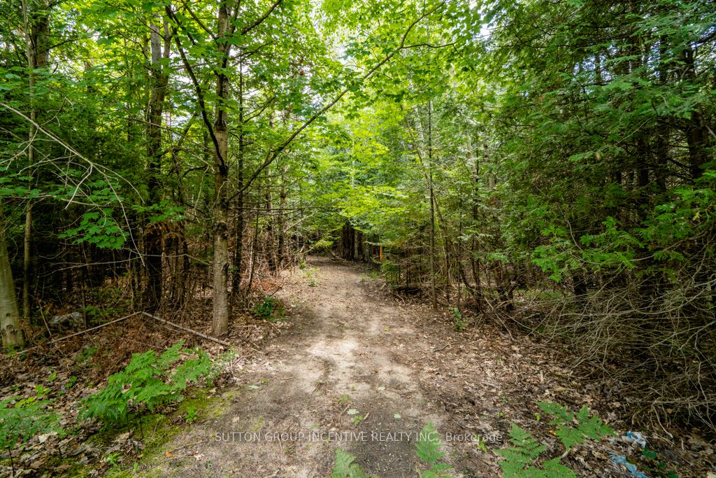 5349 30th Side Road Property Photo 11