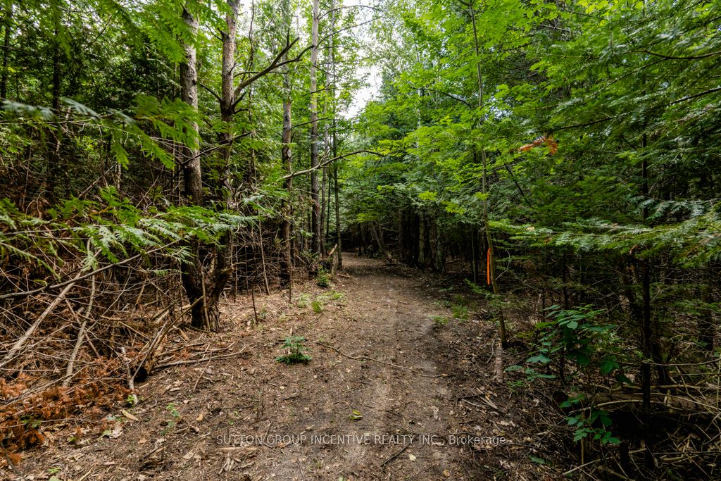 5349 30th Side Road Property Photo 12