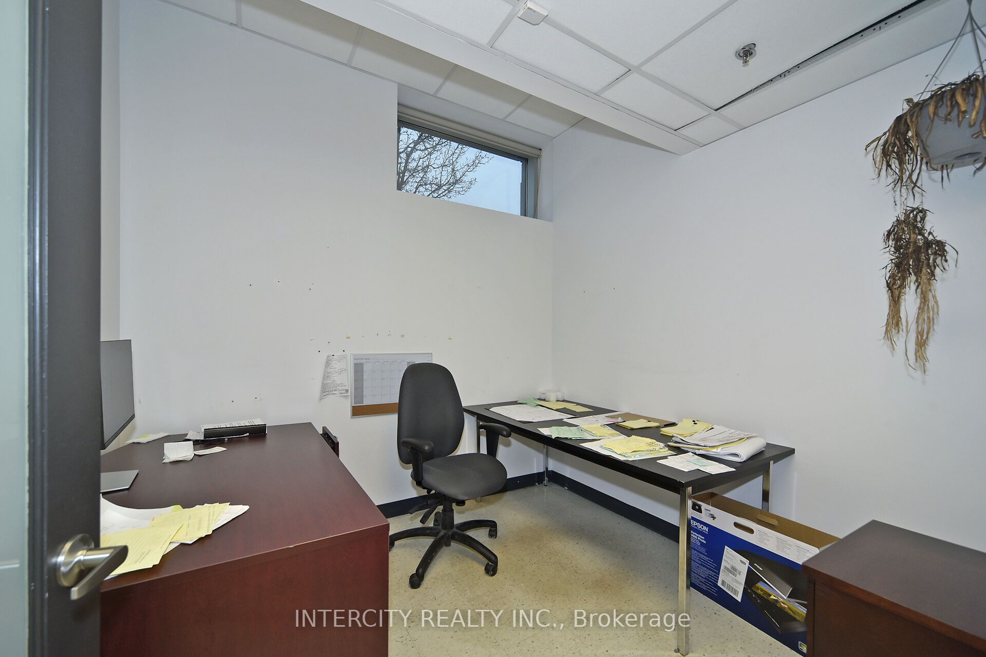 6 Ronrose Drive Property Photo 21