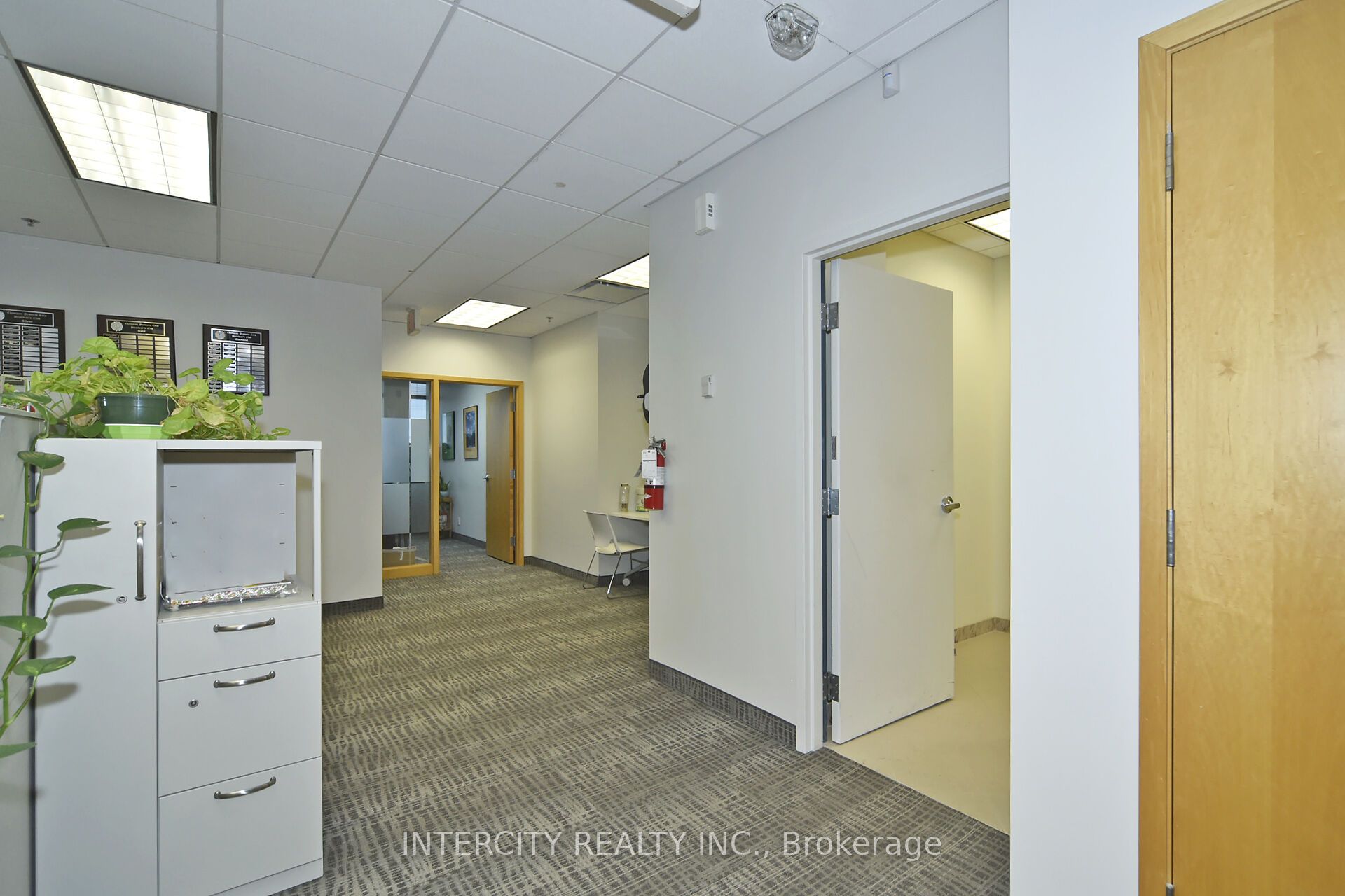 6 Ronrose Drive Property Photo 15