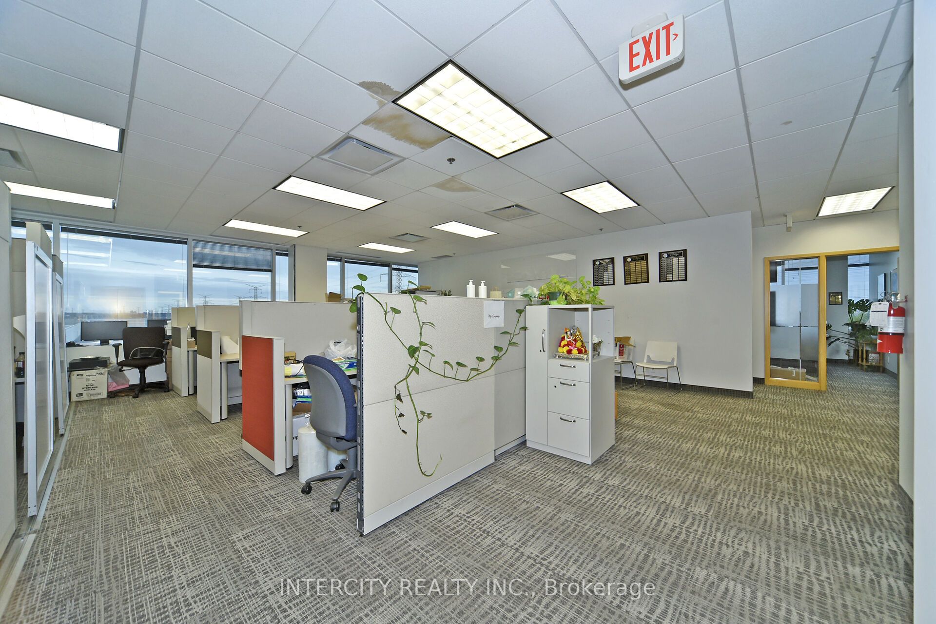 6 Ronrose Drive Property Photo 17