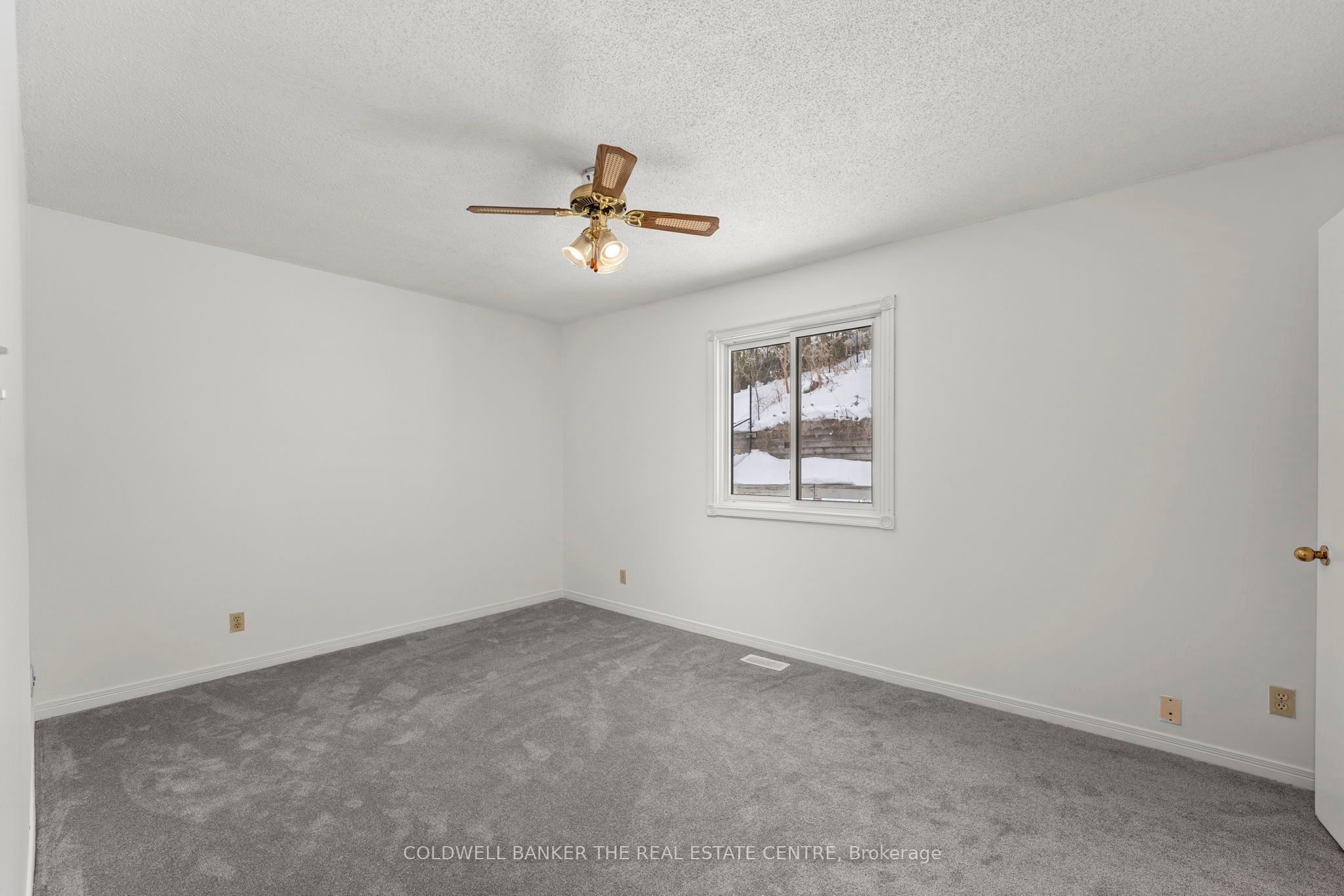 114 Collings Ave Property Photo 18