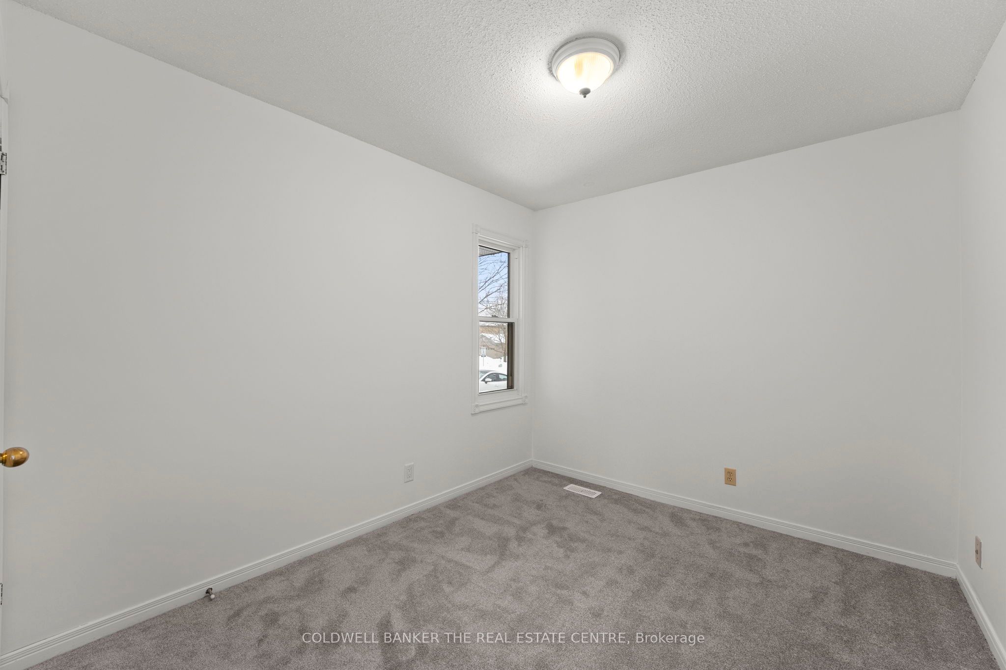 114 Collings Ave Property Photo 22