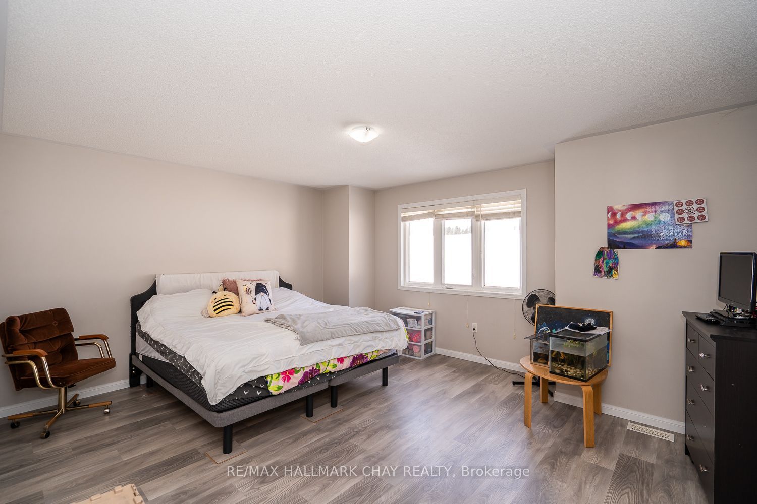 38 Steele Street Property Photo 19