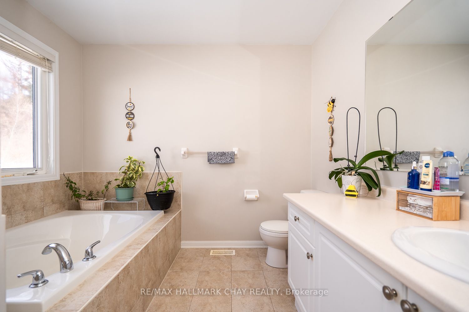 38 Steele Street Property Photo 23