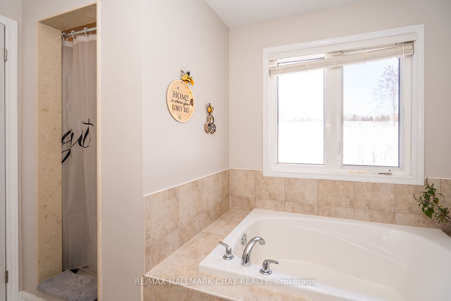 38 Steele Street Property Photo 25