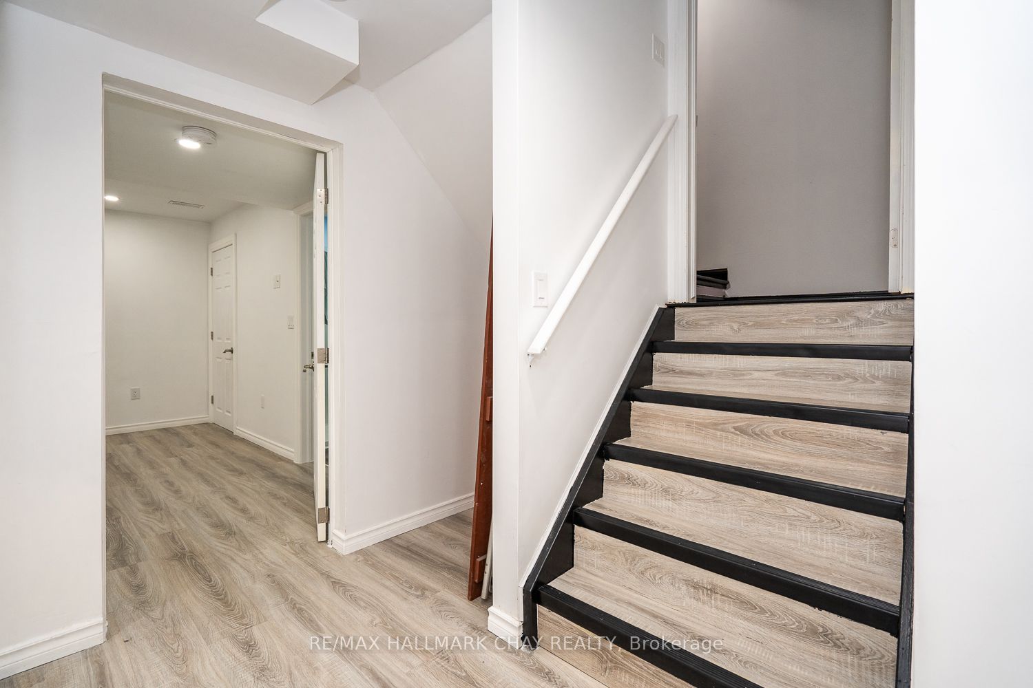 38 Steele Street Property Photo 32