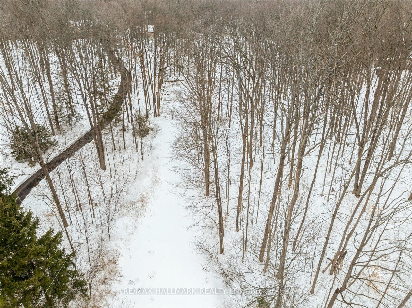430 Churchill Avenue Property Photo 19