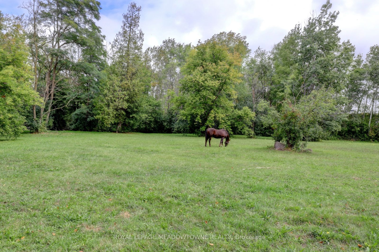 6824 10th Line Property Photo 7