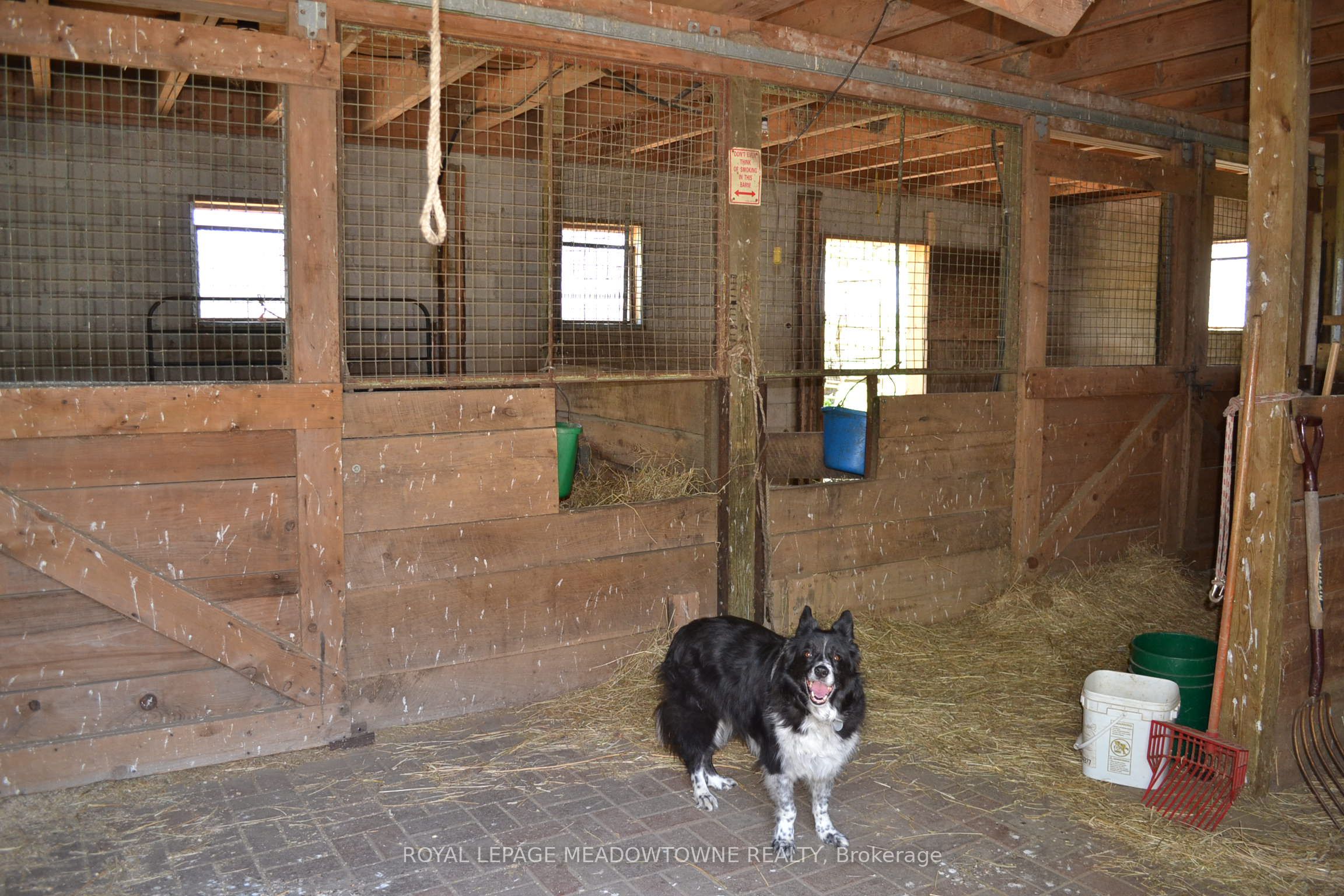 6824 10th Line Property Photo 33