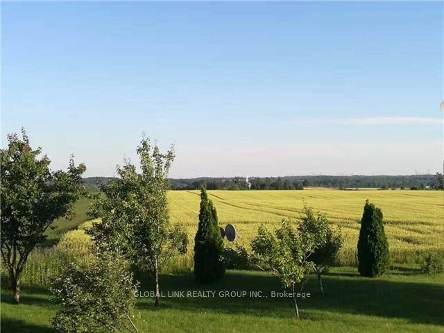 5239 7th Line Property Photo 10