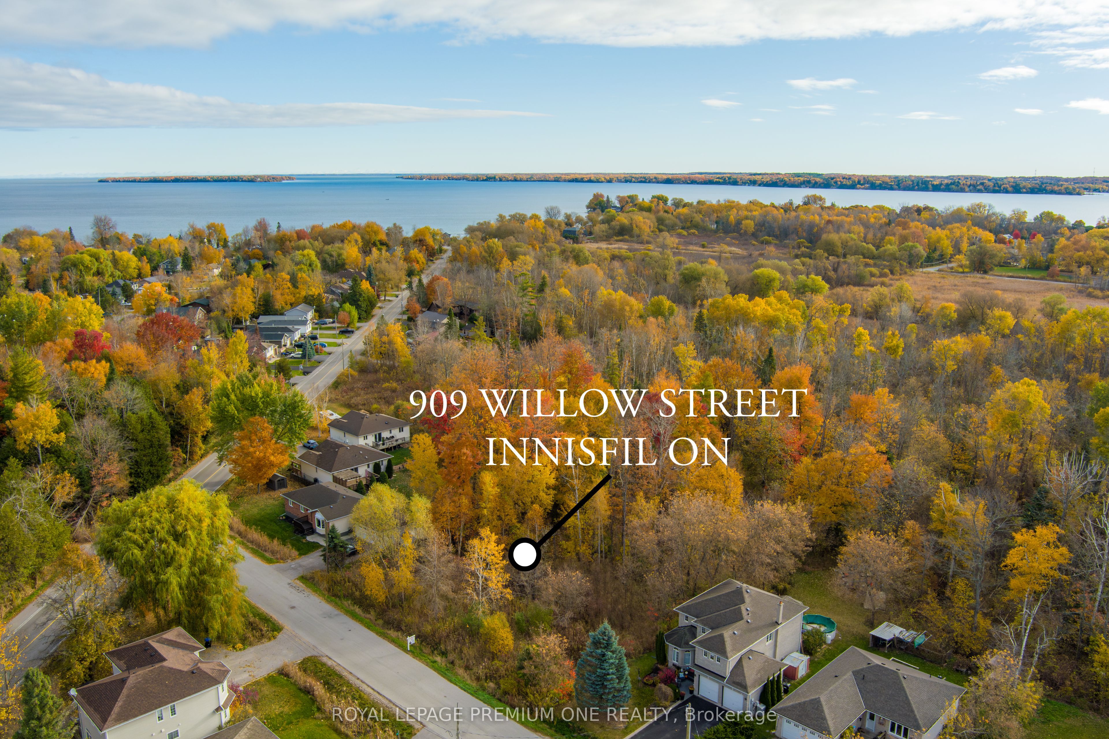 909c Willow Street Property Photo 4
