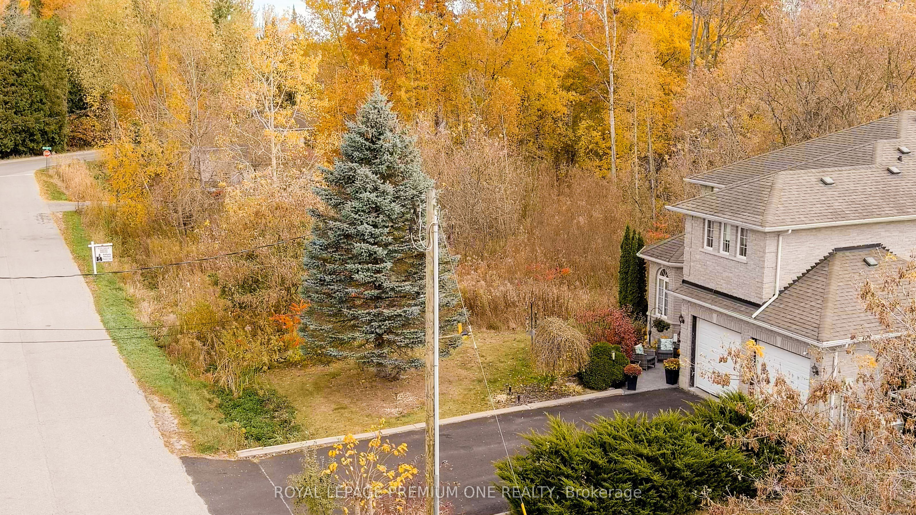 909c Willow Street Property Photo 11