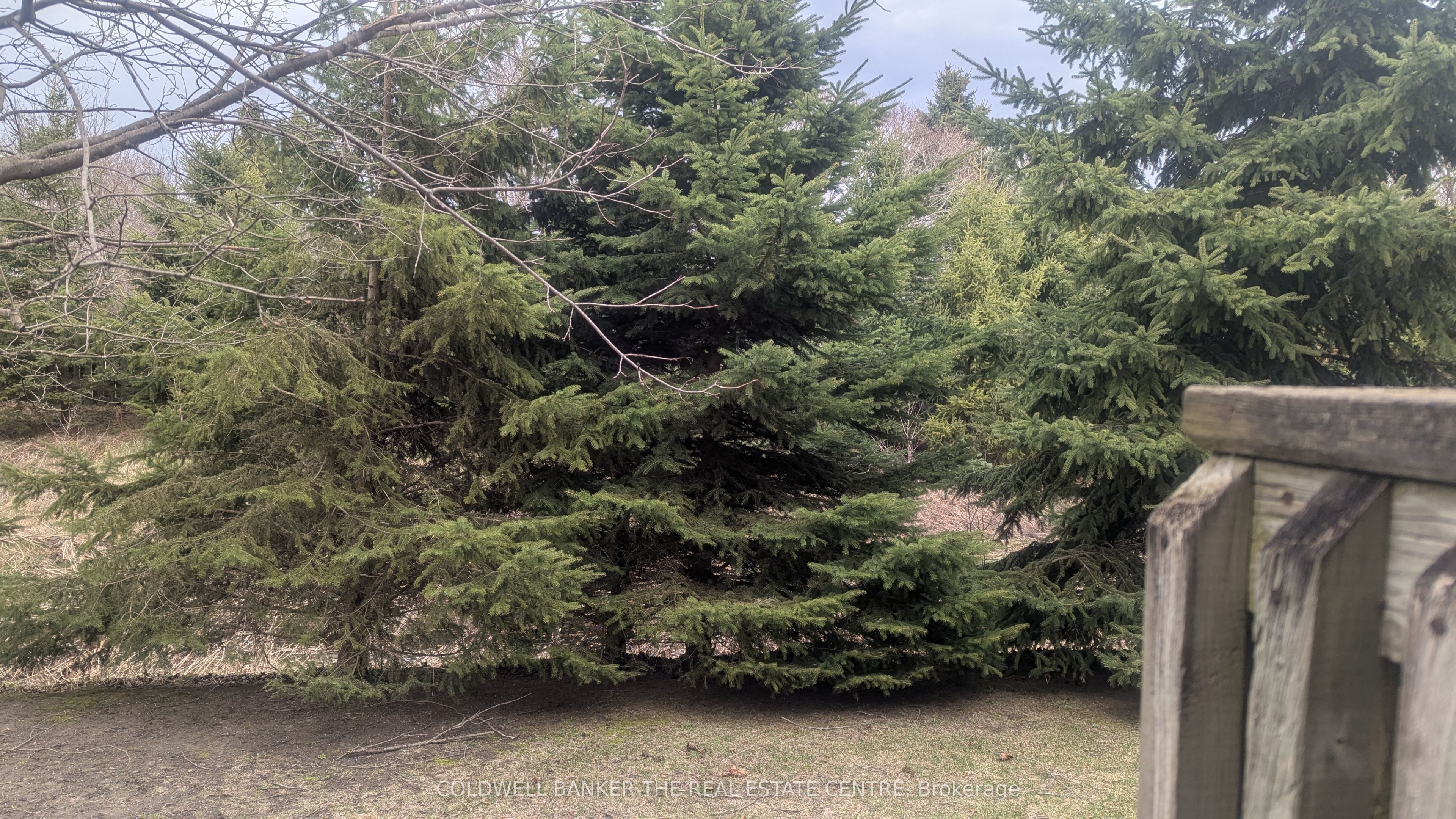 #2 - 10 Riverley Lane Property Photo 12