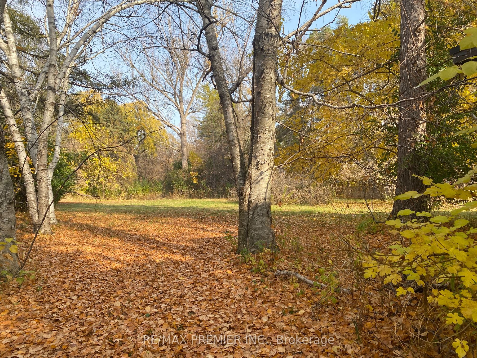 52 Proctor Avenue Property Photo 4
