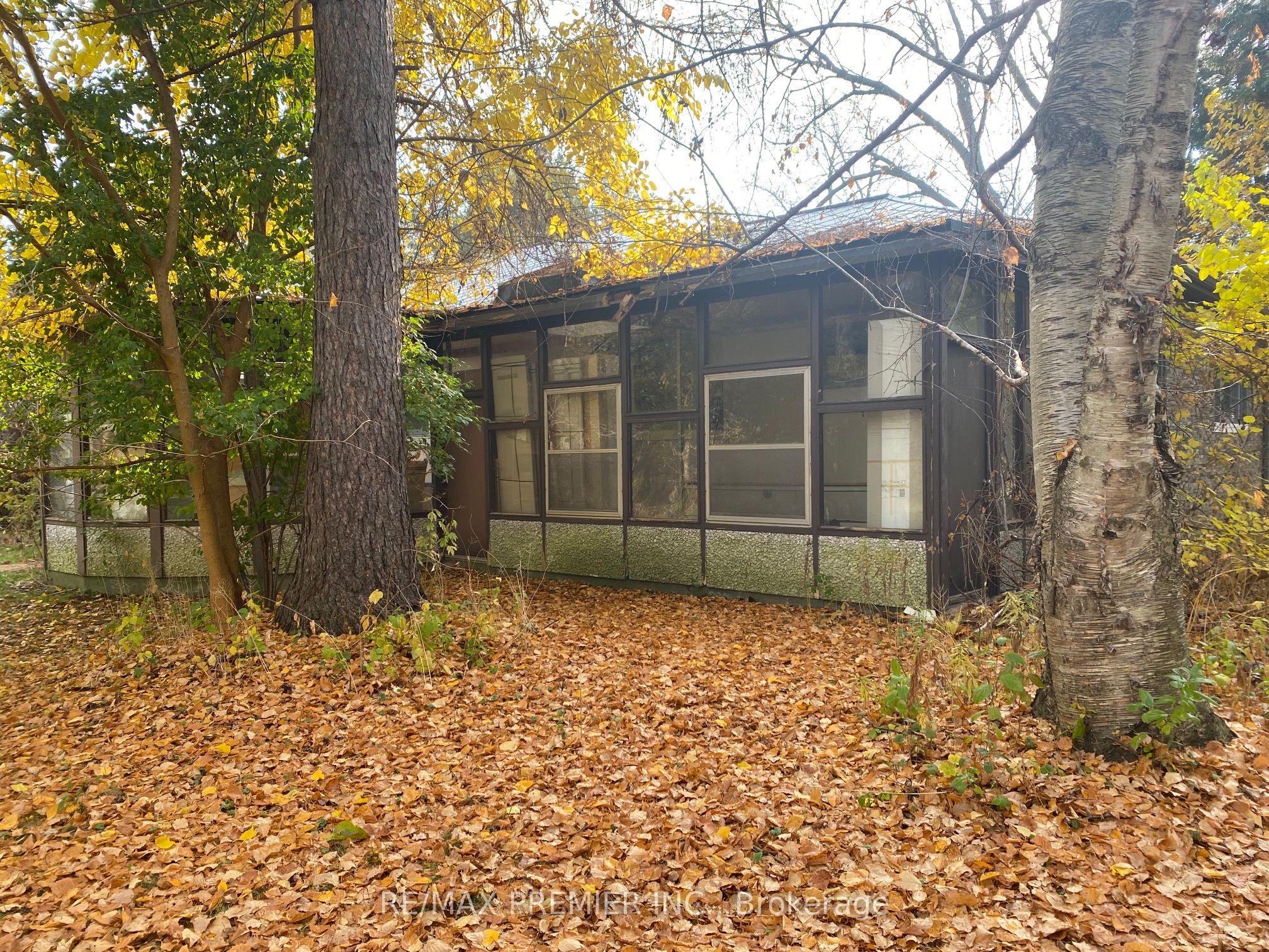 52 Proctor Avenue Property Photo 5
