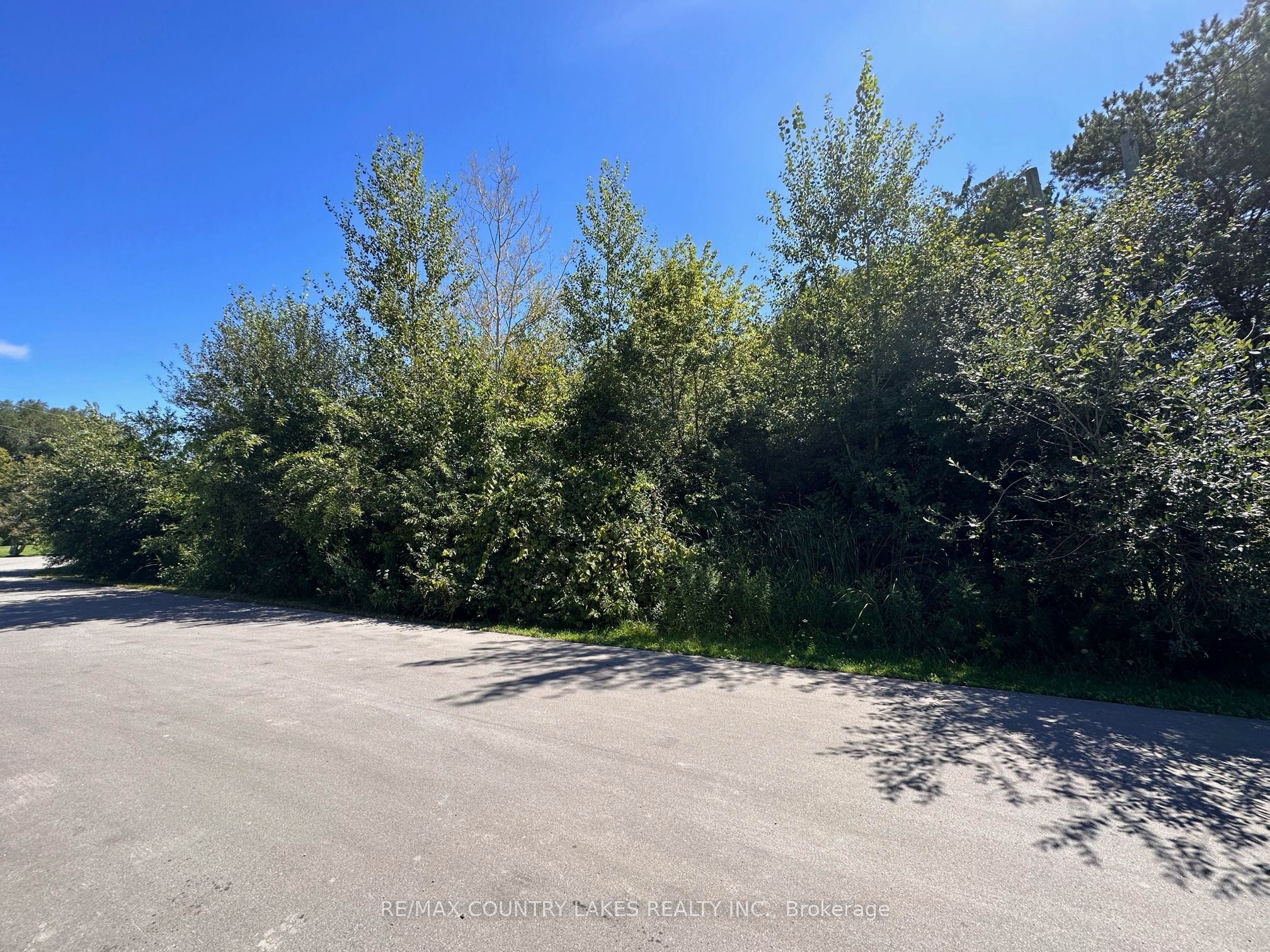 Lot 32 Twmarc Avenue Property Photo 6