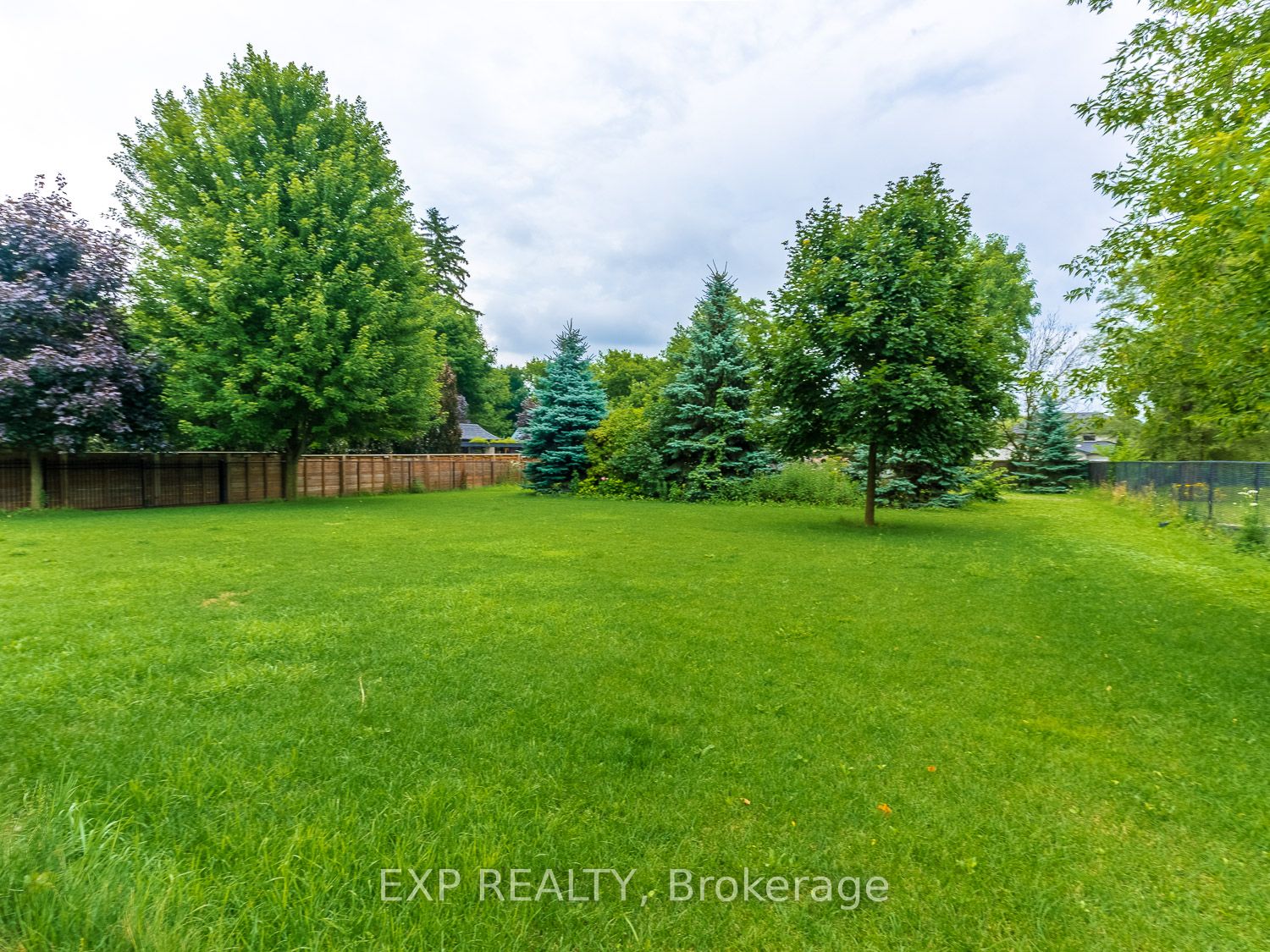 33 Maple Grove Avenue Property Photo 47