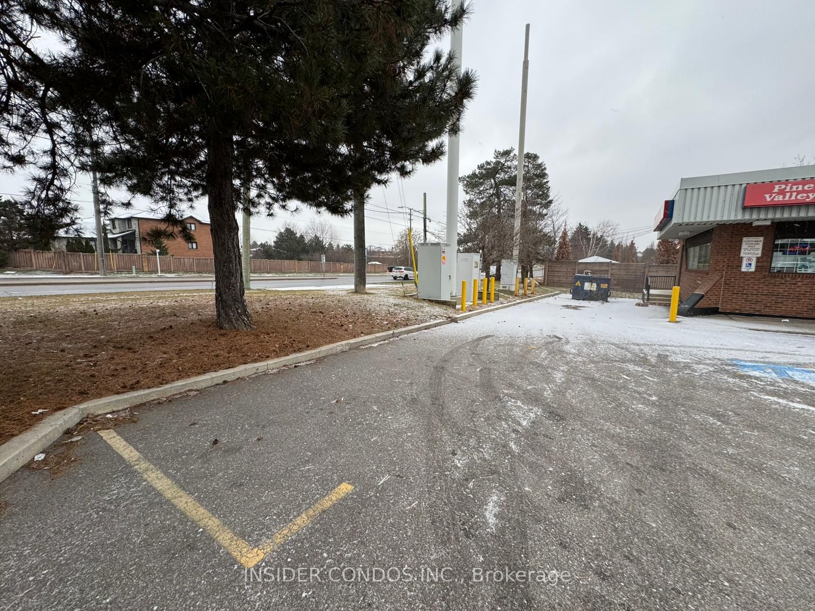#3 Lower - 15 Willis Road Property Photo 26