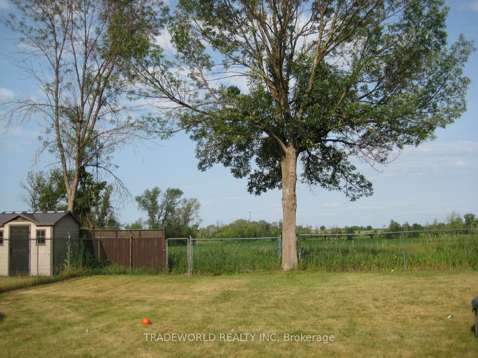 23497 Woodbine Avenue 2 Property Photo 15