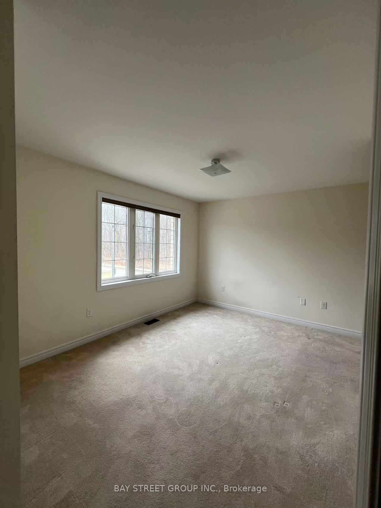 4 Benton Drive Property Photo 12