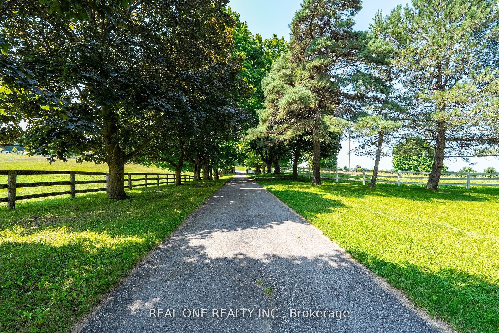 16979 Ninth Line Property Photo 4