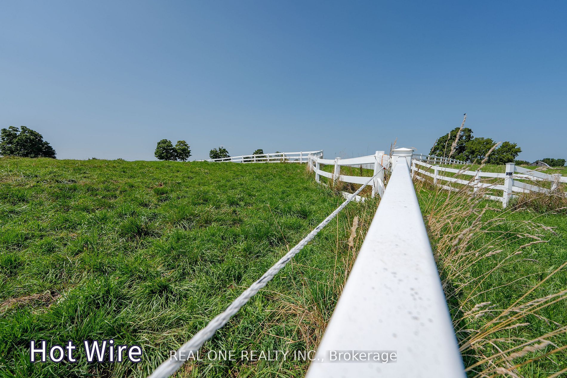 16979 Ninth Line Property Photo 29