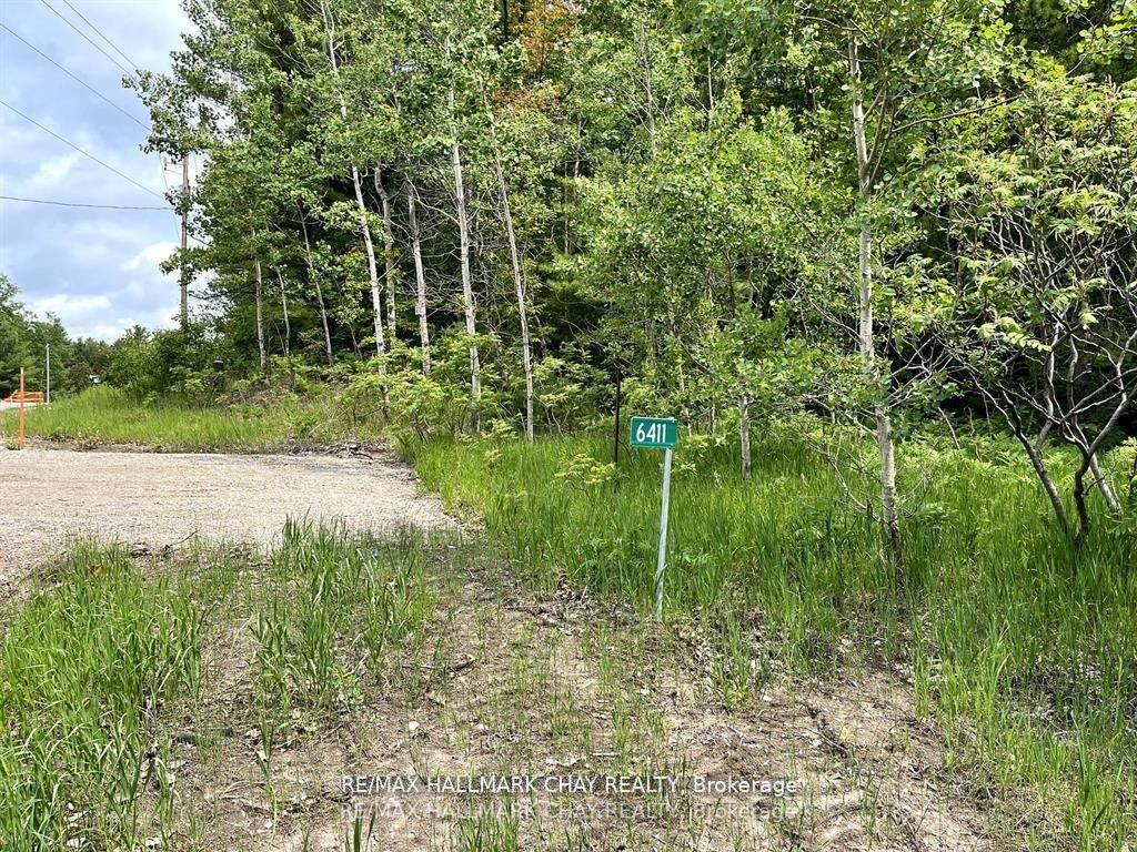 6411 Concession 4 Road Property Photo 5